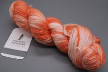 Load image into Gallery viewer, Tangello DK -100g/225m 100% Extra-Fine Merino (OOAK)