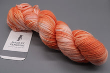 Load image into Gallery viewer, Tangello DK -100g/225m 100% Extra-Fine Merino (OOAK)